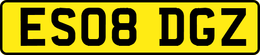 ES08DGZ