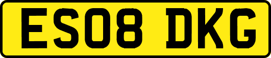 ES08DKG