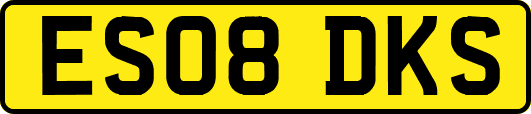 ES08DKS