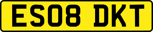 ES08DKT
