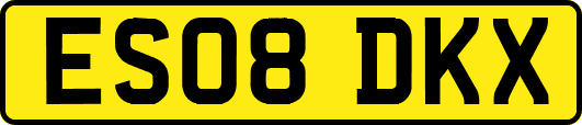 ES08DKX