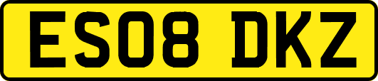 ES08DKZ