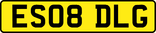 ES08DLG