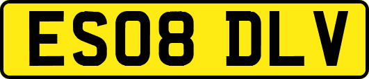 ES08DLV