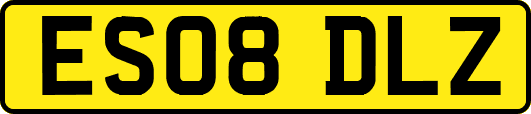 ES08DLZ