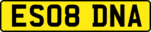 ES08DNA