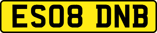 ES08DNB