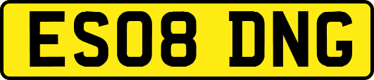 ES08DNG