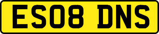 ES08DNS