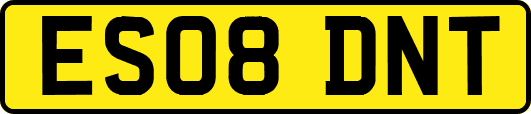ES08DNT