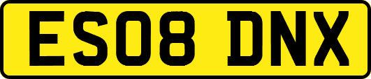 ES08DNX