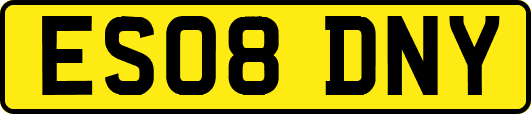 ES08DNY