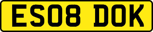 ES08DOK