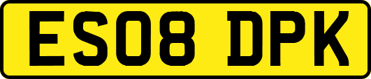 ES08DPK