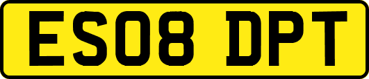ES08DPT