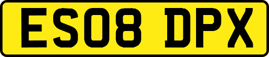 ES08DPX