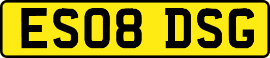 ES08DSG