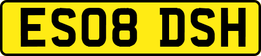 ES08DSH