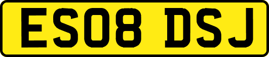 ES08DSJ