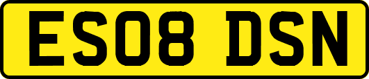 ES08DSN