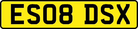 ES08DSX