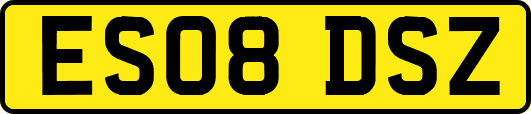 ES08DSZ