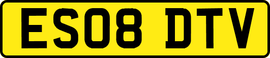 ES08DTV