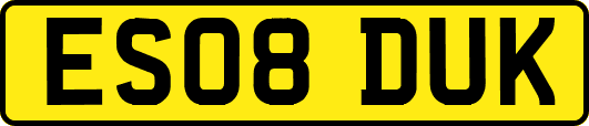 ES08DUK