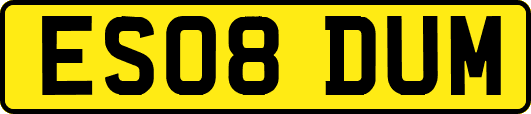 ES08DUM