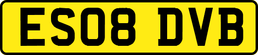 ES08DVB