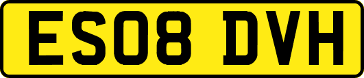 ES08DVH