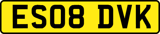 ES08DVK