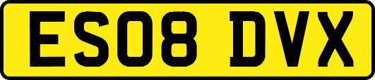 ES08DVX