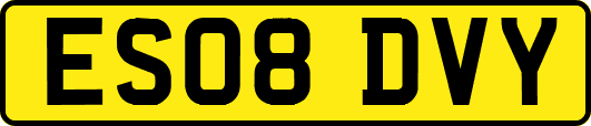ES08DVY