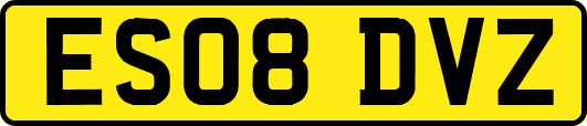 ES08DVZ