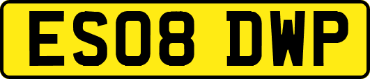 ES08DWP