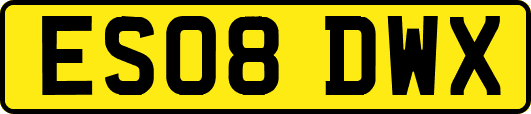 ES08DWX