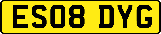 ES08DYG