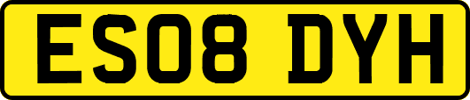 ES08DYH