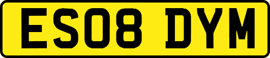 ES08DYM