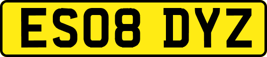 ES08DYZ