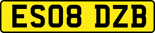 ES08DZB