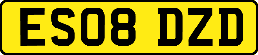 ES08DZD