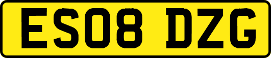 ES08DZG