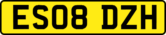 ES08DZH