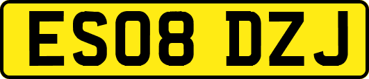 ES08DZJ