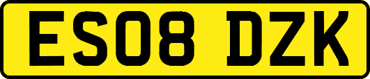 ES08DZK