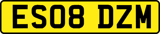 ES08DZM