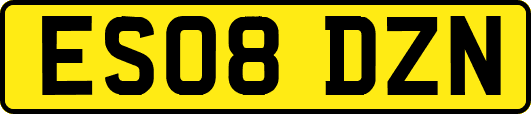 ES08DZN