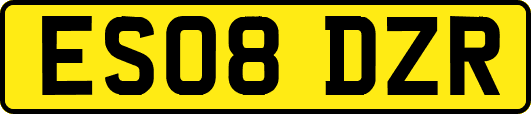 ES08DZR